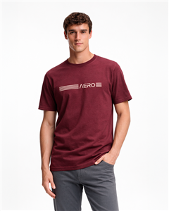 4596 - Remera Aero Estampada